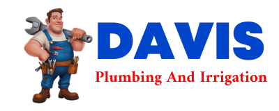 Trusted plumber in HORTENSE